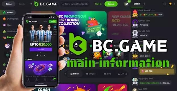 Understanding the BC.Game Login Process A Comprehensive Guide -242598135